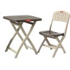 Folding Chair  and Table